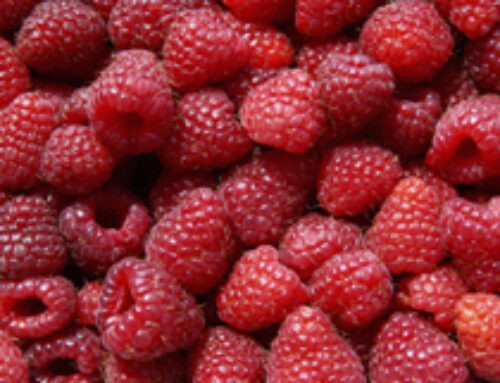 Frambuesas